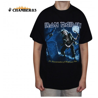 Iron Maiden "The Reincarnation of benjamin"