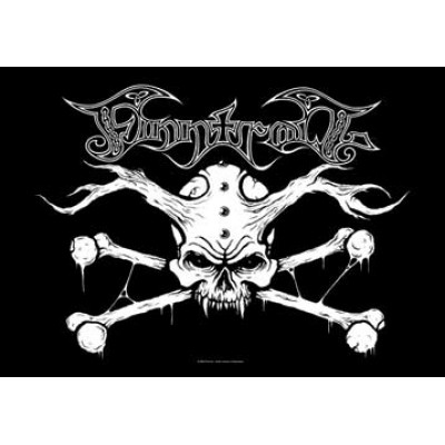 Finntroll "Crossbones"