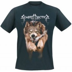 Sonata Arctica "Sake Of Revenge"