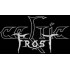 Celtic Frost "Into The Pandemonium II"