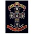 Guns'N'Roses "Appetite for destruction"