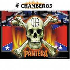 Pantera "Flag & Skull"