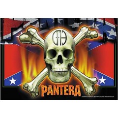 Pantera "Flag & Skull"