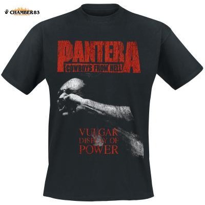 Pantera "Vulgar Display Of Power"