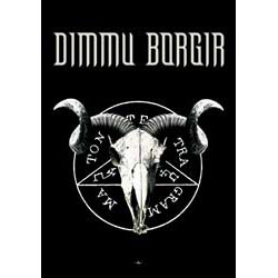 Купить флаг Dimmu Borgir "Ramskull" в Москве / Заказать флаг Dimmu Borgir "Ramskull" с доставкой по Москве и по всей России