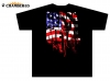 Obituary "American Flag Logo"