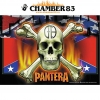 Pantera "Flag & Skull"